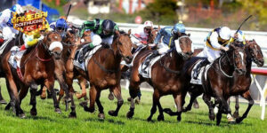 Cược đua ngựa có nhiều tỷ lệ cược khác nhau cho game thủ chọn lựa